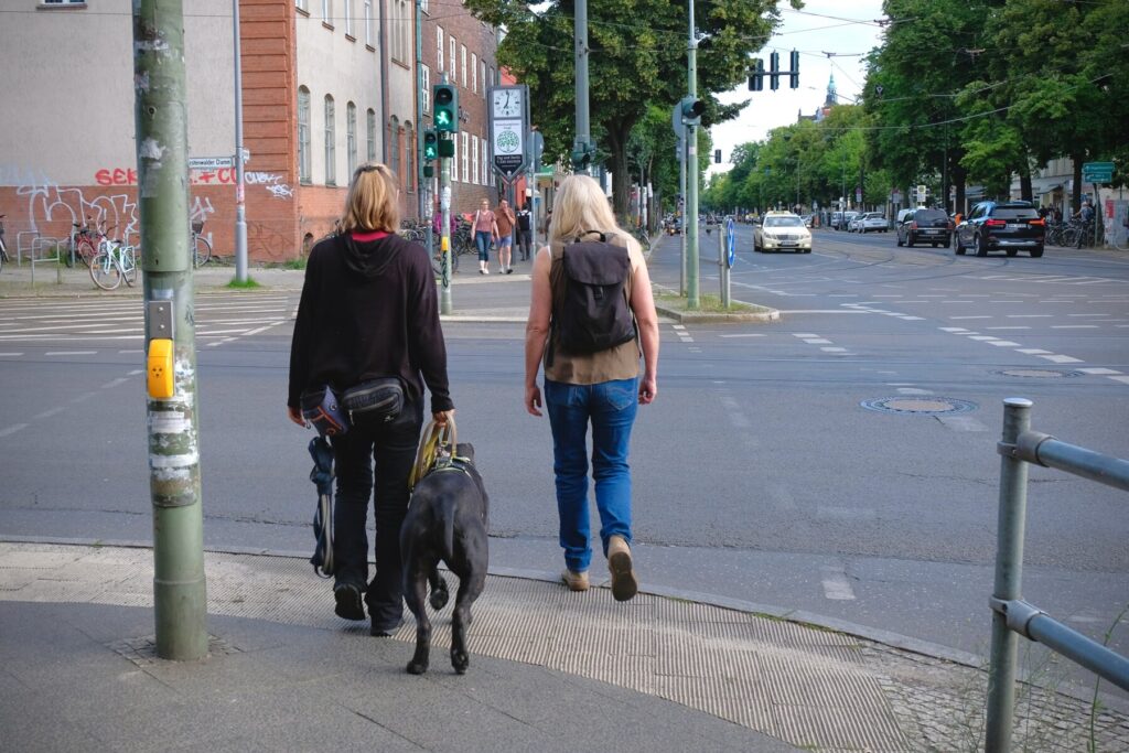 Zwei Menschen mit einem Hunde beim Stadttraining