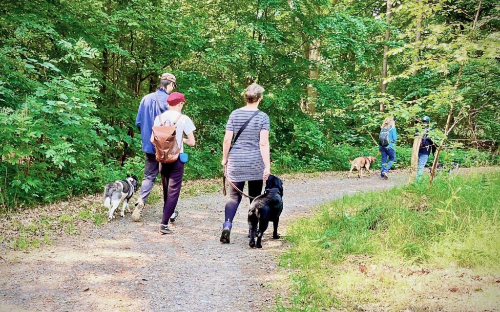 Social Walk im Wald